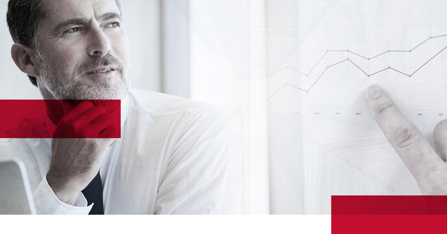 Sviluppa la tua azienda